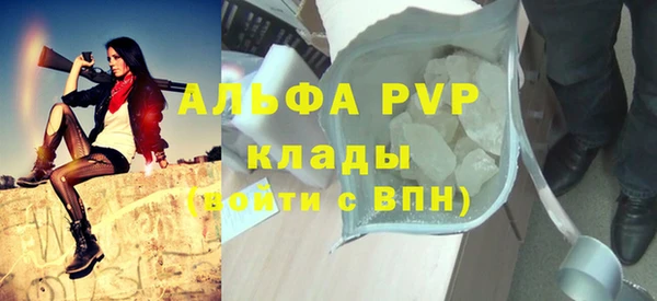 прущие крисы Бородино