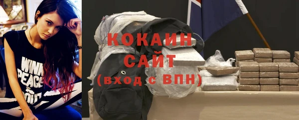 прущие крисы Бородино