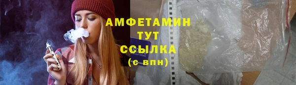 прущие крисы Бородино