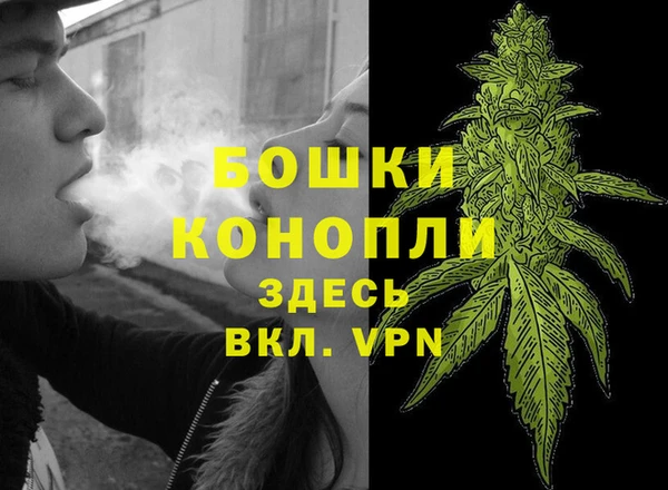 сатива Бугульма