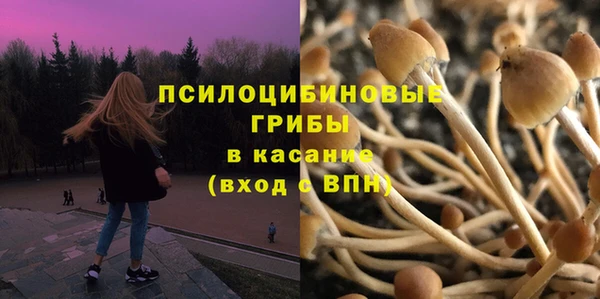 прущие крисы Бородино