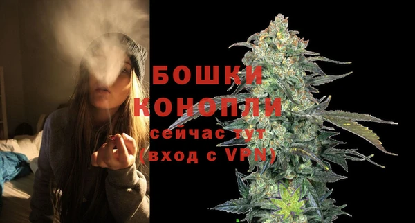 сатива Бугульма