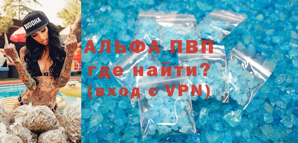 прущие крисы Бородино